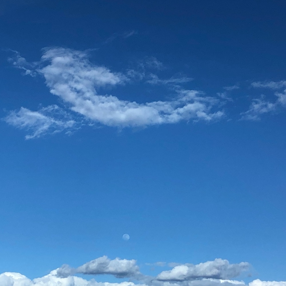 Meet your Posher, Nina